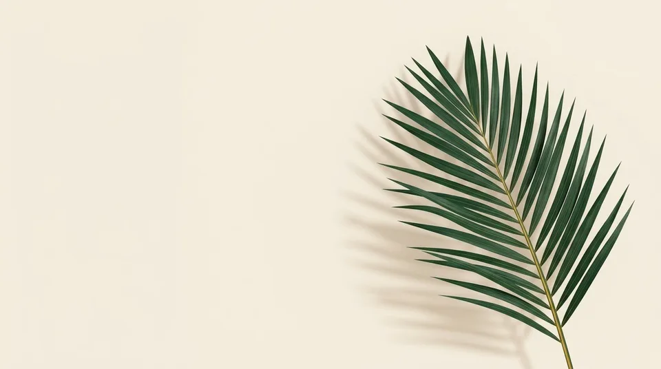 سعفة نخيل خضراء وظلّها على خلفية رملية